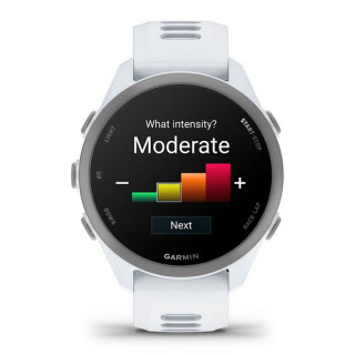 Умные часы Garmin Forerunner 170 Music Whitestone with Whitestone/Cloud Blue Band (010-03920-11)