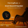 Акустическая система MorningBlues Record R1