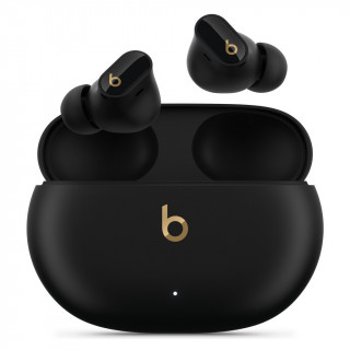 Наушники Beats Studio Buds + True Wireless Noise Cancelling Earbuds (MQLH3-BK/GLD) Black / Gold