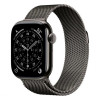 Apple Watch Series 11, 42mm, титан синевато-серого цвета, миланский сетчатый браслет