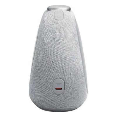 Портативная колонка JBL Horizon 3 Grey (JBLHORIZON3GRY)