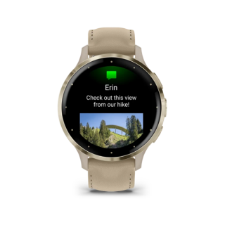 Умные часы Garmin Venu 3S 41 мм Безель из нержавеющей стали из мягкого золота, корпус французского серого цвета и кожаный ремешок (010-02785-55)