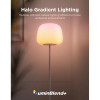 Умный напольный торшер Govee RGBICW T-Style Floor Lamp (R1630C01)