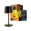 Умная портативная настольная лампа Govee Table Lamp with Battery (R1741C11)