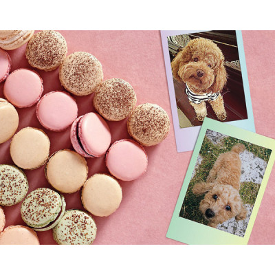 Картридж для фотоаппарата Fujifilm Instax Mini Macaron (10 листов)