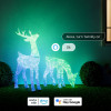 Умная уличная гирлянда Twinkly 3D Reindeer - Stag, RGB+W, 125x65 см, 240 светодиодов, IP44 (TW3RS200SPP-TEU)