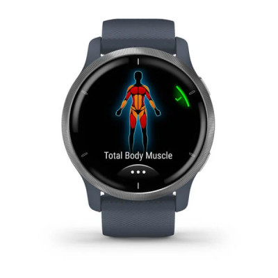 Умные часы Garmin Venu 2 Blue Case (010-02430-10)