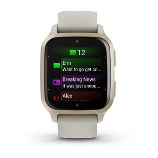 Умные часы Garmin Venu Sq 2 Music Edition серый с безелем цвета кремового золота и силиконовым ремешком 010-02700-12