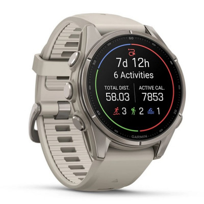 Garmin Fenix 9 43 мм Titanium with Fog Gray Silicone Band (010-04761-00)