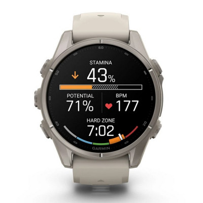 Garmin Fenix 9 43 мм Titanium with Fog Gray Silicone Band (010-04761-00)