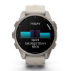Garmin Fenix 9 43 мм Titanium with Fog Gray Silicone Band (010-04761-00)