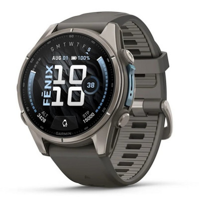 Garmin Fenix 9 43 мм Titanium with Pebble Gray Silicone Band (010-04761-10)