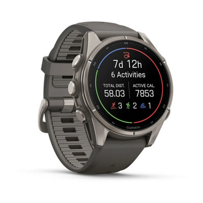 Garmin Fenix 9 43 мм Titanium with Pebble Gray Silicone Band (010-04761-10)