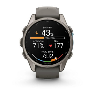 Garmin Fenix 9 43 мм Titanium with Pebble Gray Silicone Band (010-04761-10/010-04761-11)