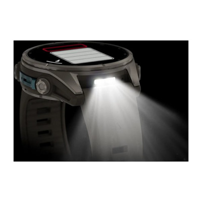 Garmin Fenix 9 43 мм Titanium with Pebble Gray Silicone Band (010-04761-10)