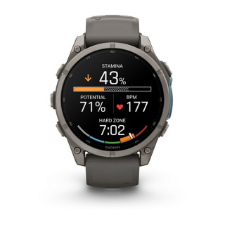 Garmin Fenix 9 47 мм Titanium with Pebble Gray Silicone Band (010-04762-00/010-04762-01)