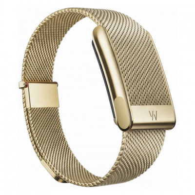 Металлический ремешок для Whoop MG Meridian Band (Gold)