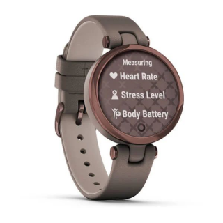 Умные часы Garmin Lily темно-бронзовый безель, корпус цвета Paloma и итальянский кожаный ремешок 010-02384-B0
