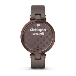 Умные часы Garmin Lily темно-бронзовый безель, корпус цвета Paloma и итальянский кожаный ремешок 010-02384-B0