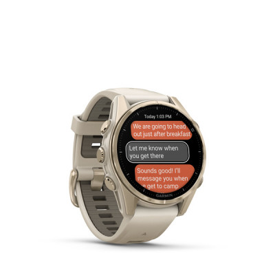 Garmin Fenix 8 Amoled Sapphire 43 мм – Золотистый, дымчато-серый ремешок