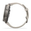 Garmin Fenix 9 Pro 43 мм Titanium with Fog Gray/Dark Sandstone Silicone Band (010-04335-85)