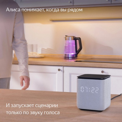 Умная колонка Яндекс Станция Миди с Алисой с Zigbee (YNDX-00054BLK) черный